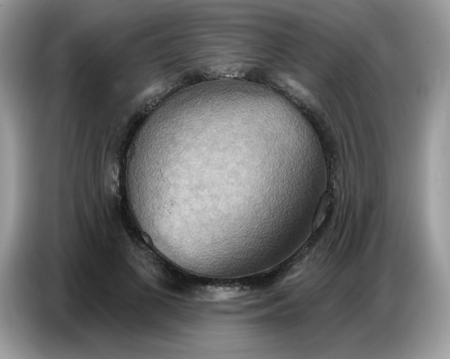 X0000086750693200704271710