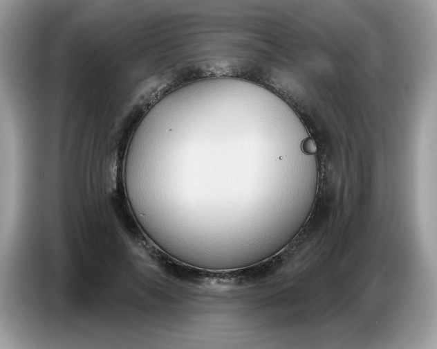 X0000086750694200704271710