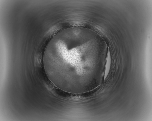 X0000086750695200704271710