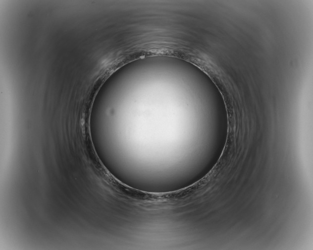 X0000086750696200704271710