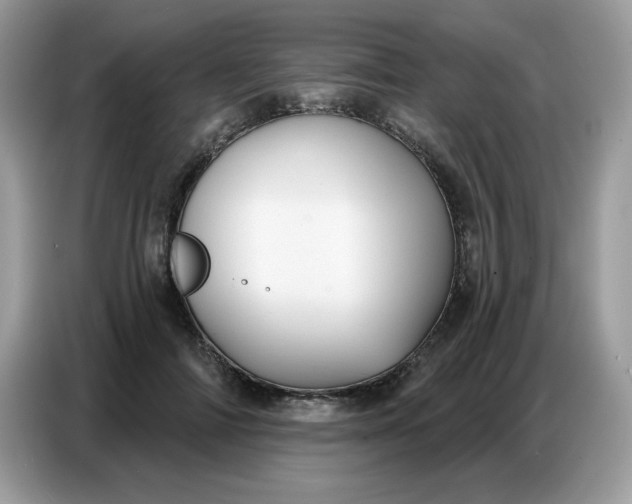 X0000086750698200704271710