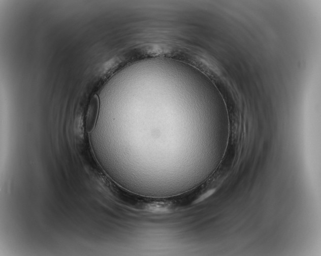 X0000086750700200704271710