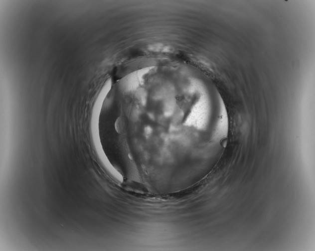 X0000086750703200704271710