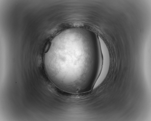 X0000086750704200704271710