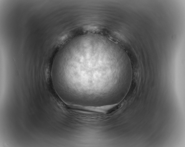 X0000086750708200704271710