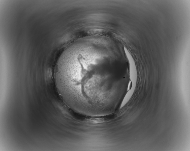 X0000086750711200704271710