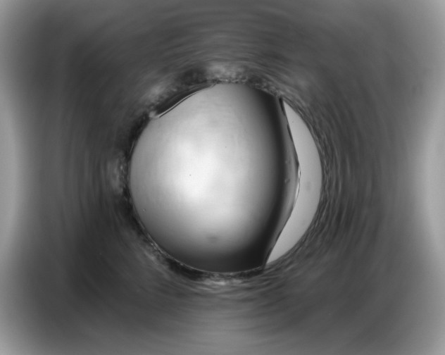 X0000086750712200704271710