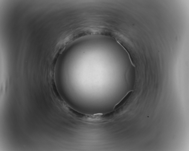 X0000086750720200704271710