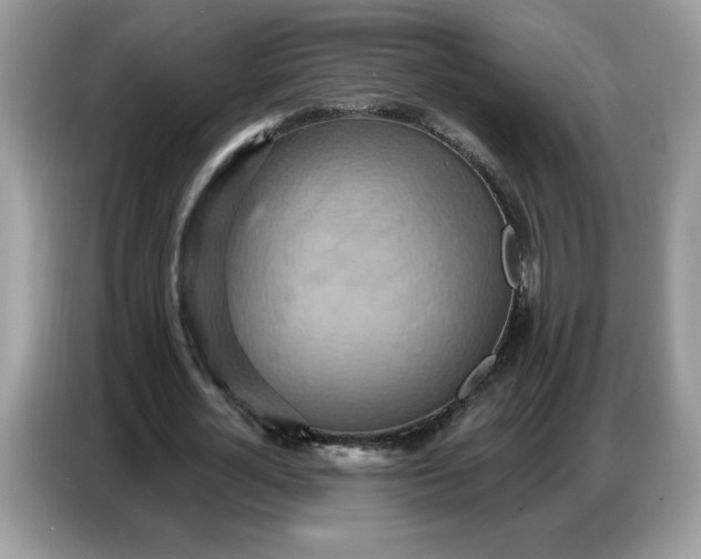 X0000086750724200704271710