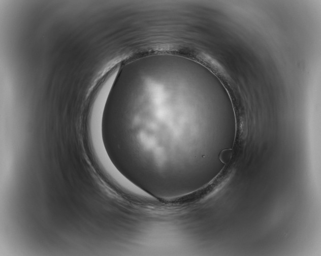 X0000086750725200704271710