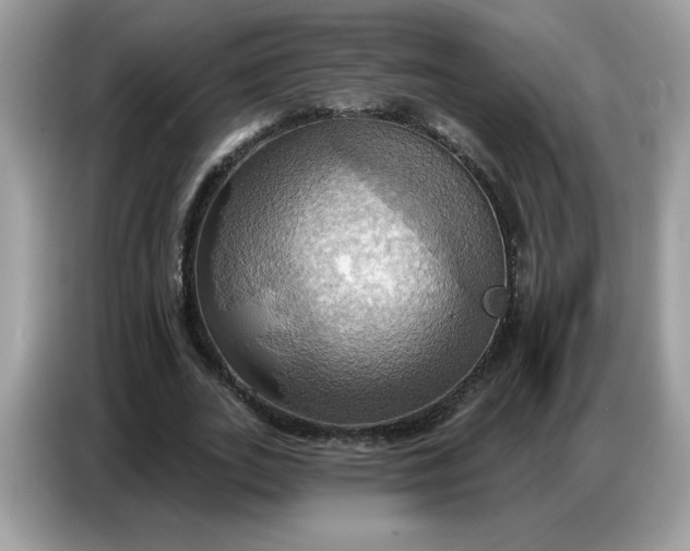 X0000086750727200704271710