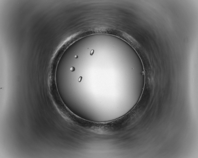 X0000086750728200704271710