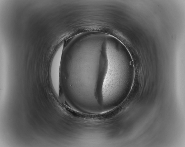 X0000086750729200704271710