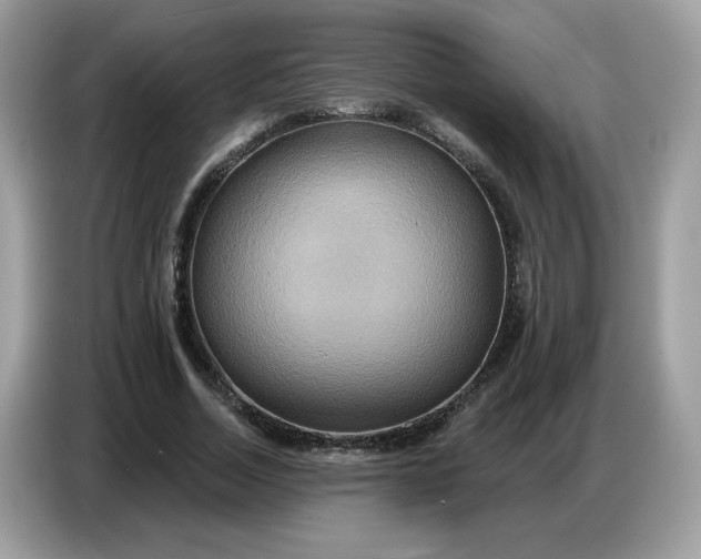 X0000086750730200704271710