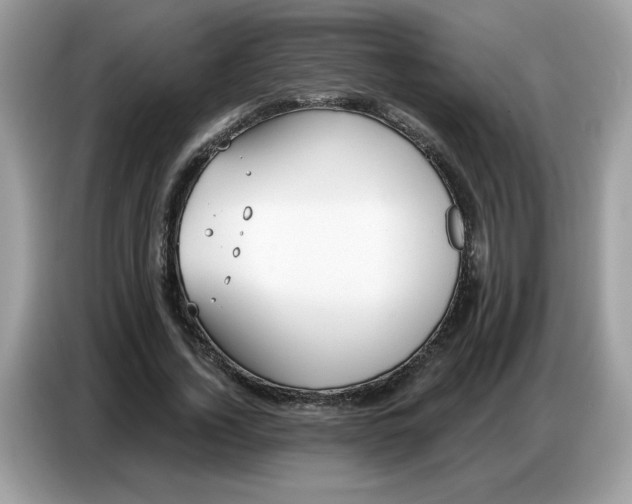 X0000086750732200704271710