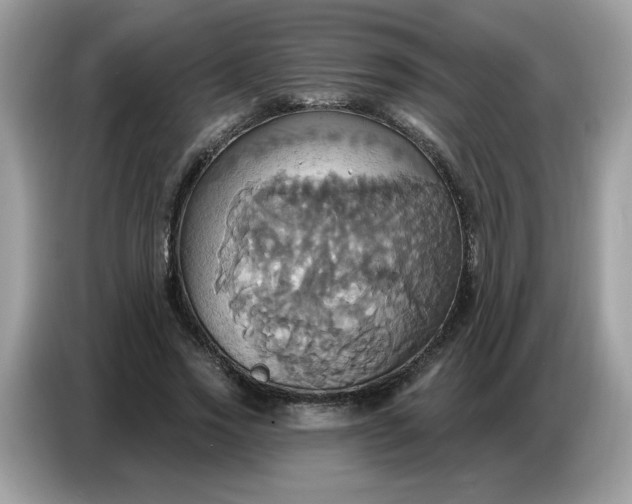 X0000086750733200704271710