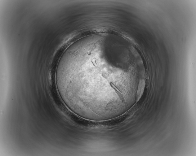 X0000086750734200704271710