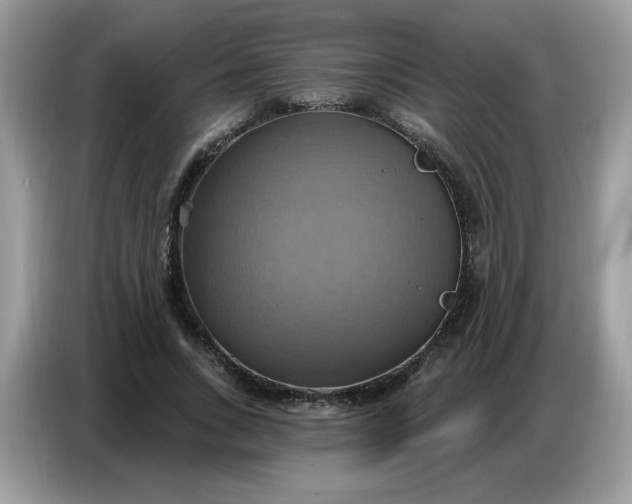 X0000086750735200704271710