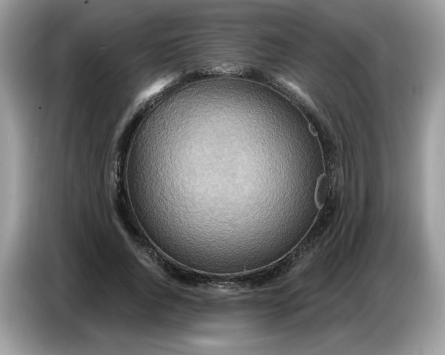 X0000086750736200704271710