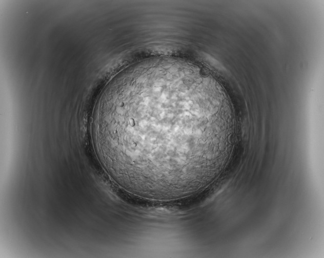 X0000086750737200704271710