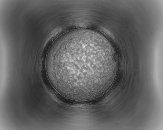 X0000086750738200704271710