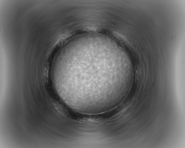 X0000086750739200704271710