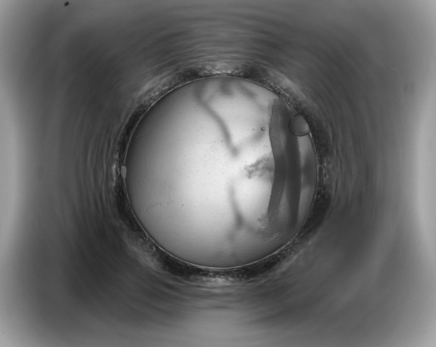 X0000086750741200704271710