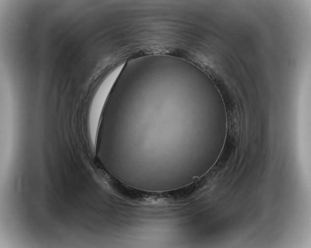 X0000086750742200704271710