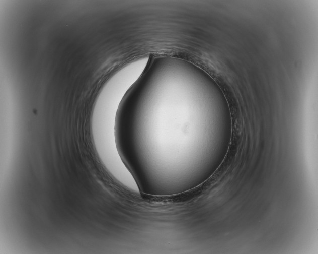 X0000086750744200704271710