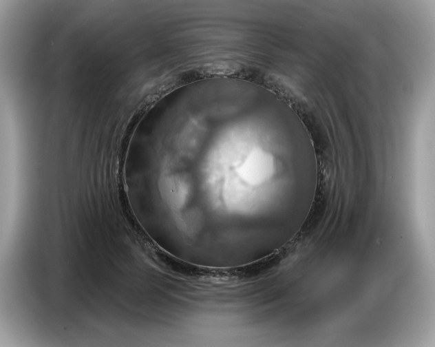 X0000086750745200704271710