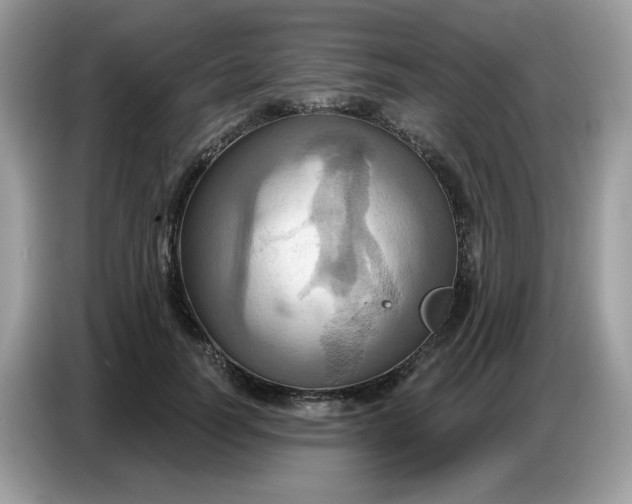 X0000086750746200704271710