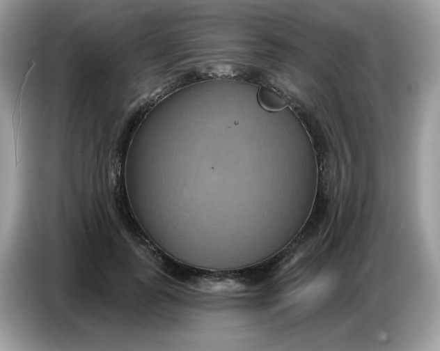 X0000086750747200704271710