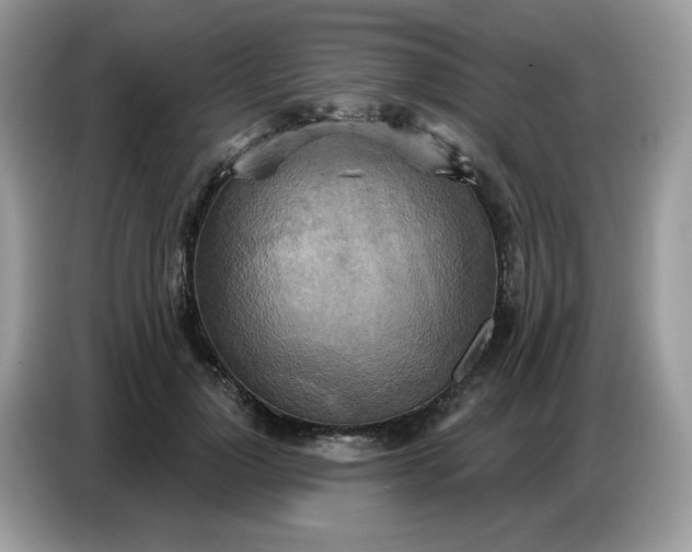 X0000086750748200704271710