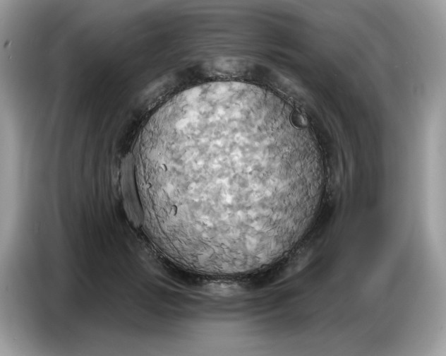 X0000086750749200704271710