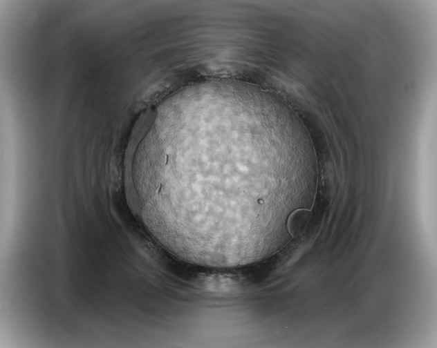 X0000086750751200704271710