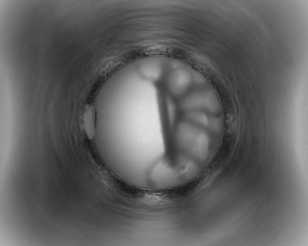 X0000086750753200704271710