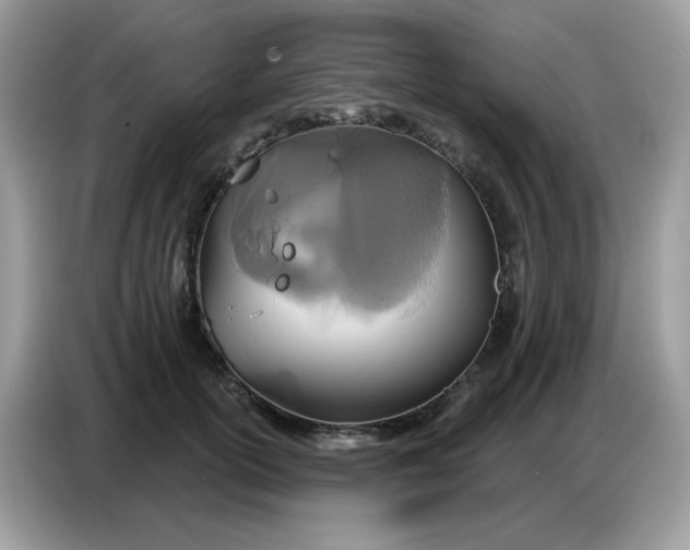 X0000086750754200704271710