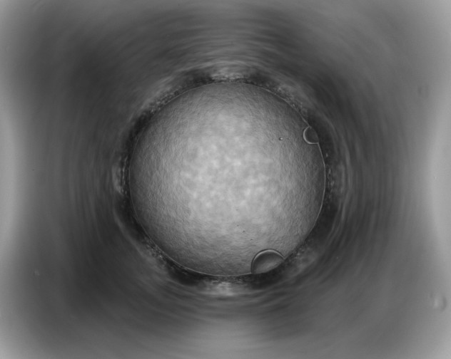 X0000086750755200704271710