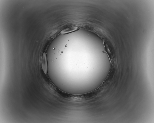 X0000086750756200704271710