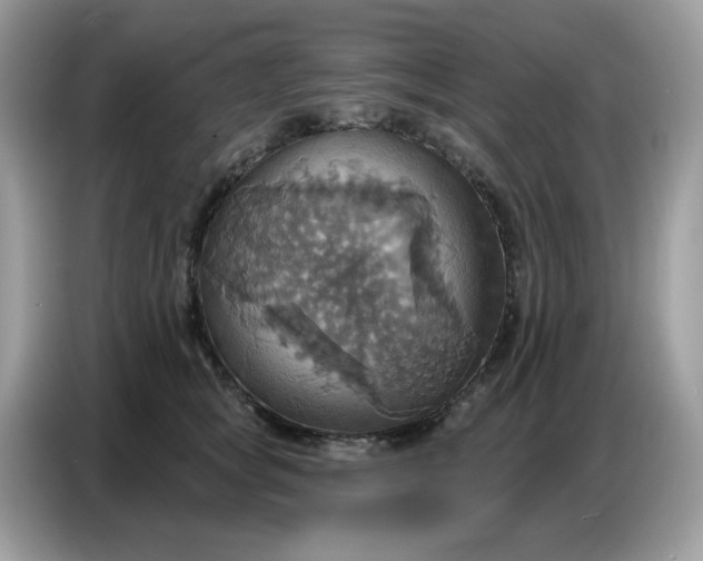 X0000086750757200704271710