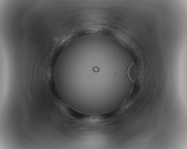 X0000086750758200704271710