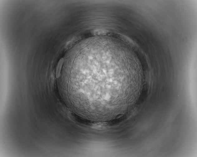 X0000086750761200704271710