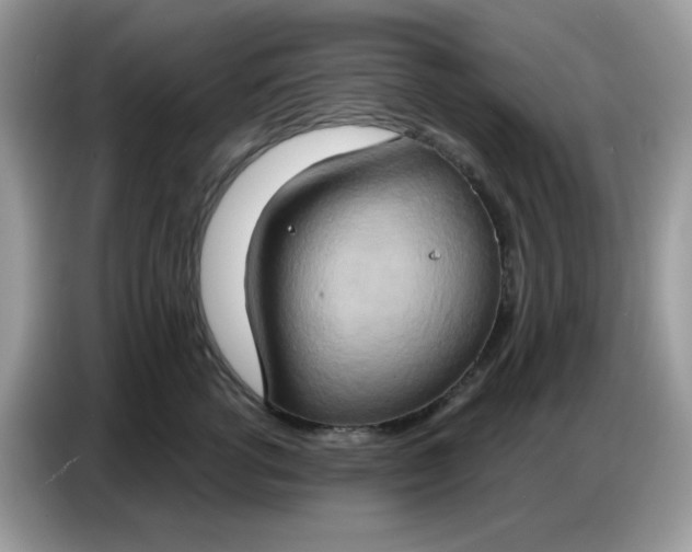 X0000086750762200704271710