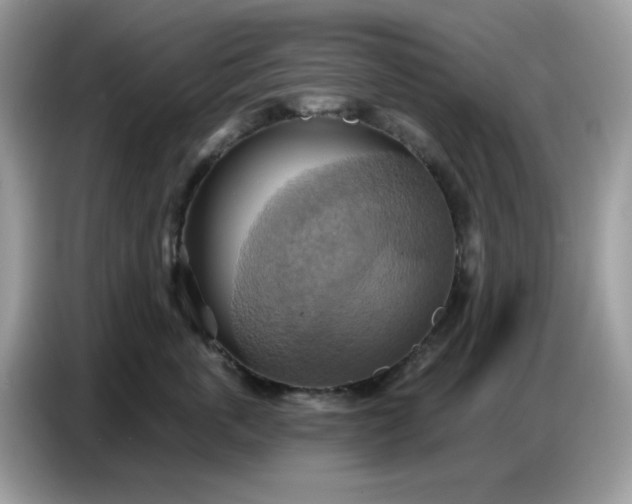 X0000086750763200704271710