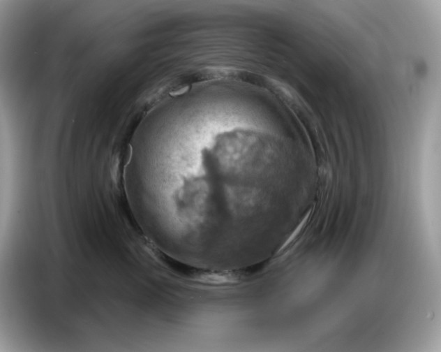 X0000086750765200704271710