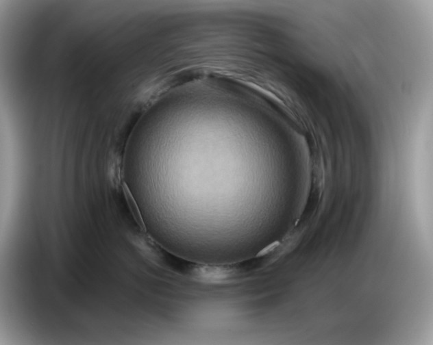 X0000086750766200704271710