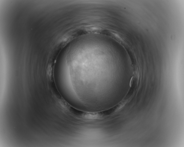 X0000086750767200704271710