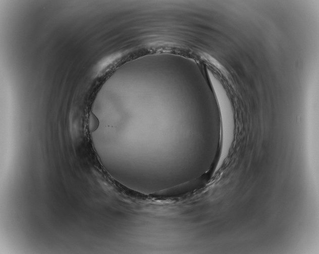 X0000086750775200704271709