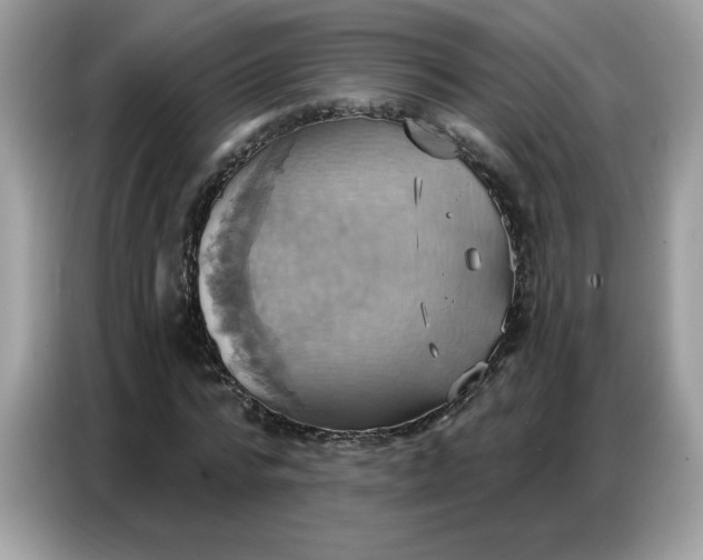 X0000086750776200704271709