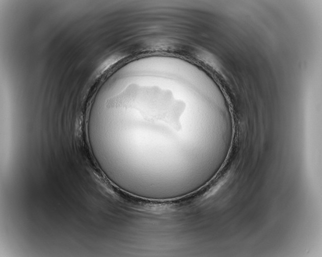 X0000086750778200704271709